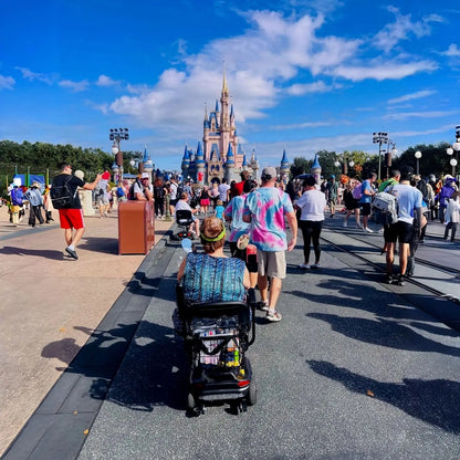 350 W Motor • 30 mi Range • 300 lb Capacity 4-Wheel Mobility Scooter